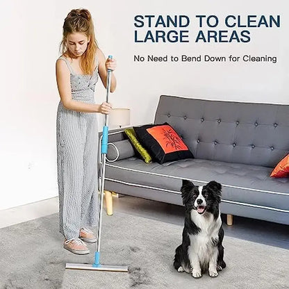 CleanSweep Fur Remover